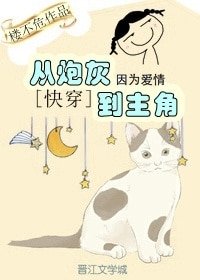 从炮灰到主角